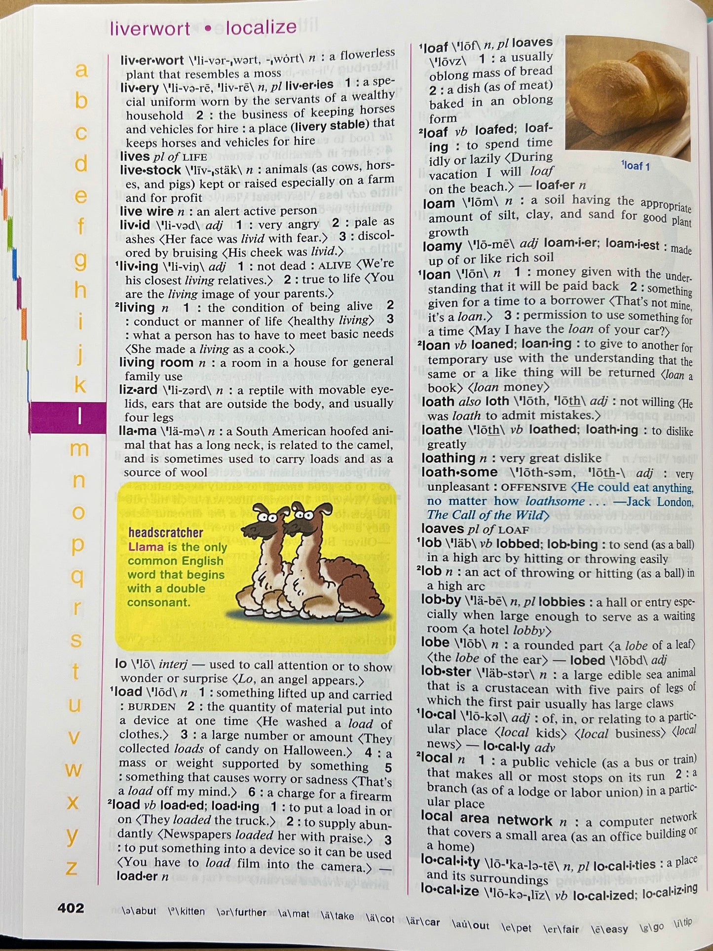 Merriram-Webster's Elementary Dictionary