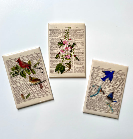 Audubon Dictionary Magnet Set
