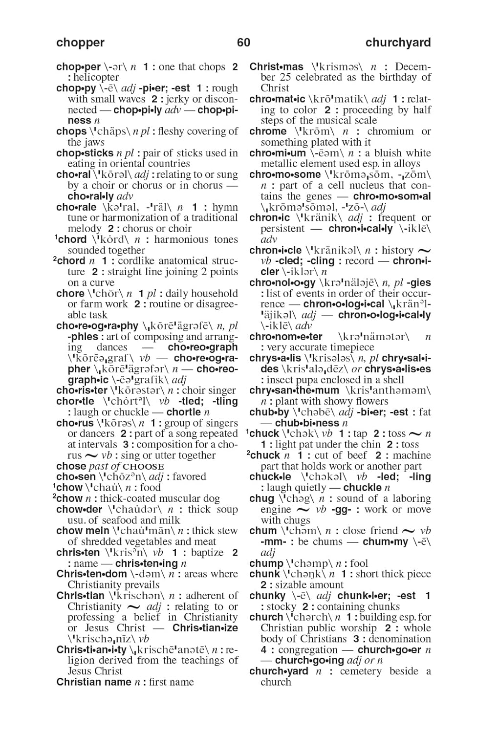 Merriam Webster Pocket Dictionary