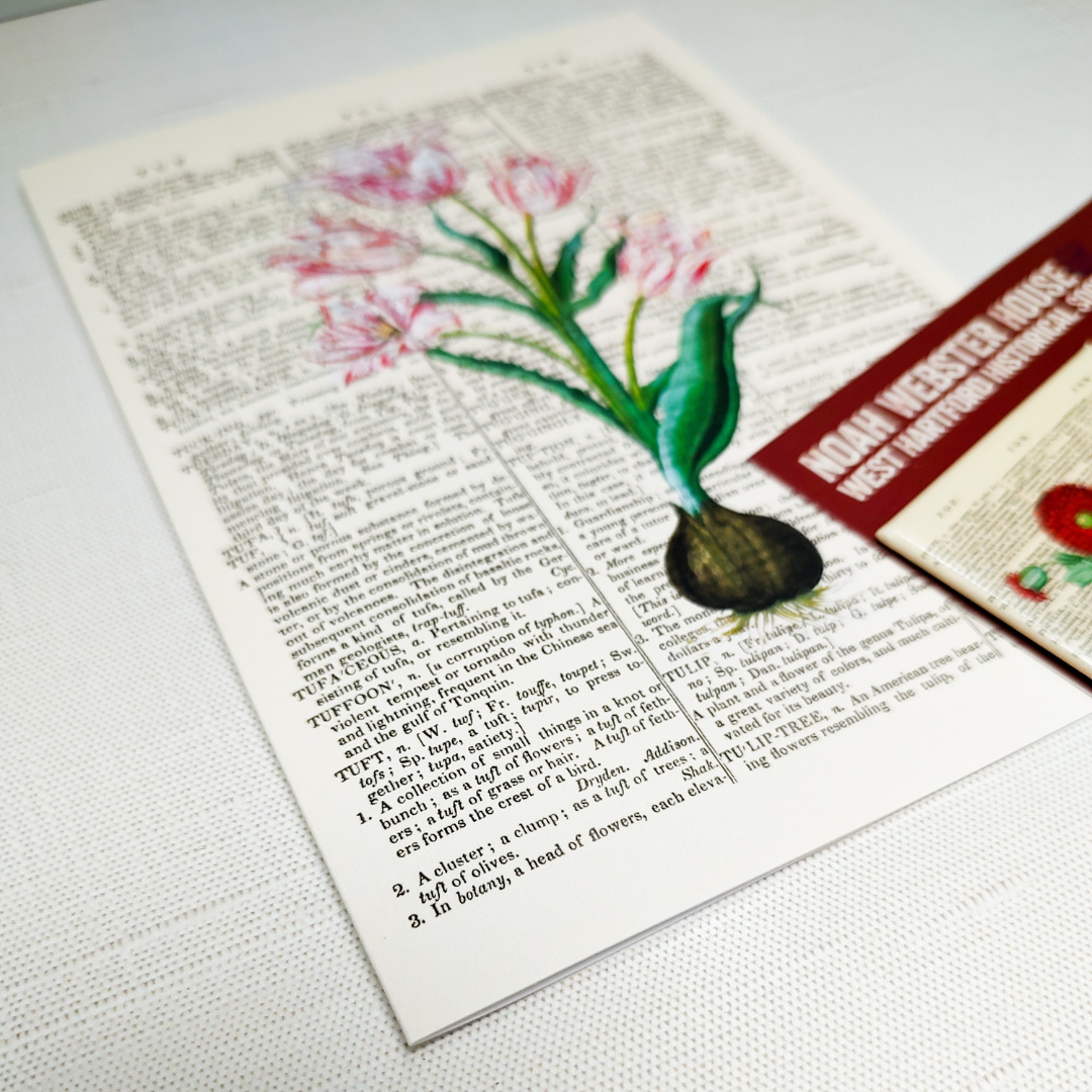 Floral Dictionary Notecard Set